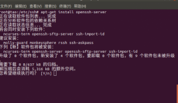 Ubuntu18.04下安裝配置SSH服務的方法步驟