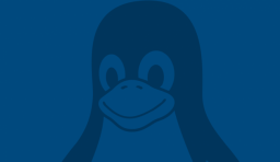 Linux 內核將引入安全鎖定功能