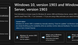 Windows 10 1903：安裝更新造成宕機、Wi-Fi 和藍牙無法連接