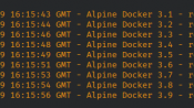 Alpine Linux Docker 鏡像安全漏洞