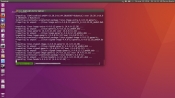 Canonical 修復 Ubuntu 18.04 和 16.04 LTS 中的內核回歸錯誤
